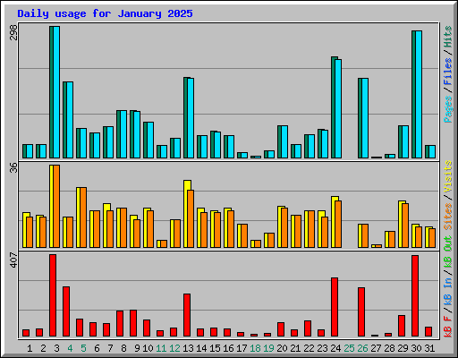Daily usage for January 2025