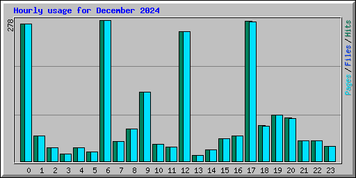 Hourly usage for December 2024