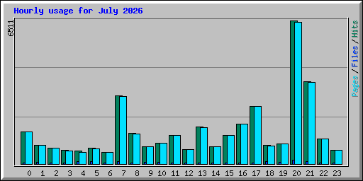 Hourly usage for July 2026